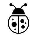 Content Bug
